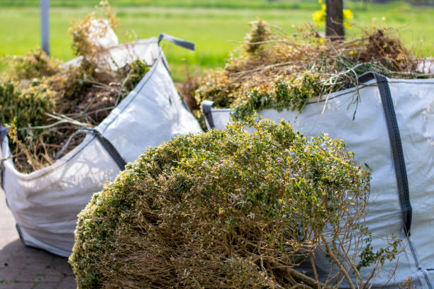 Best Mattress Removal Service  in White Sands, NM
